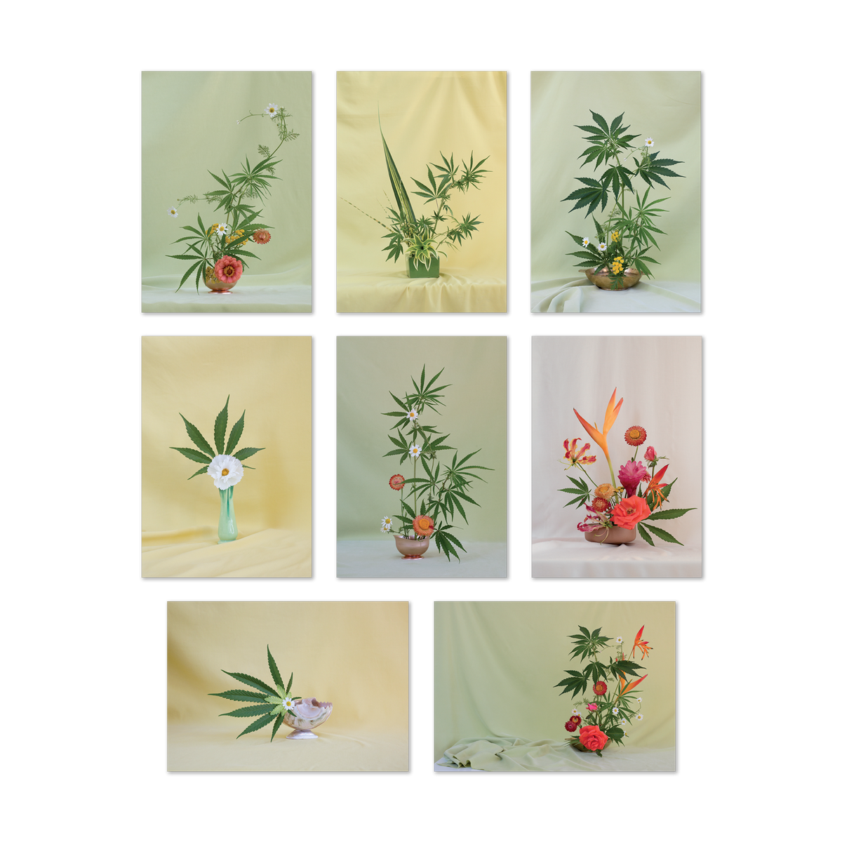Weed Ikebana Postcard Print Set