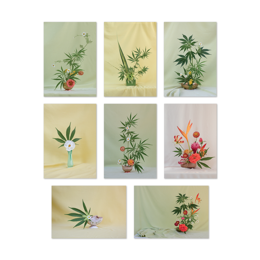 Weed Ikebana Postcard Print Set