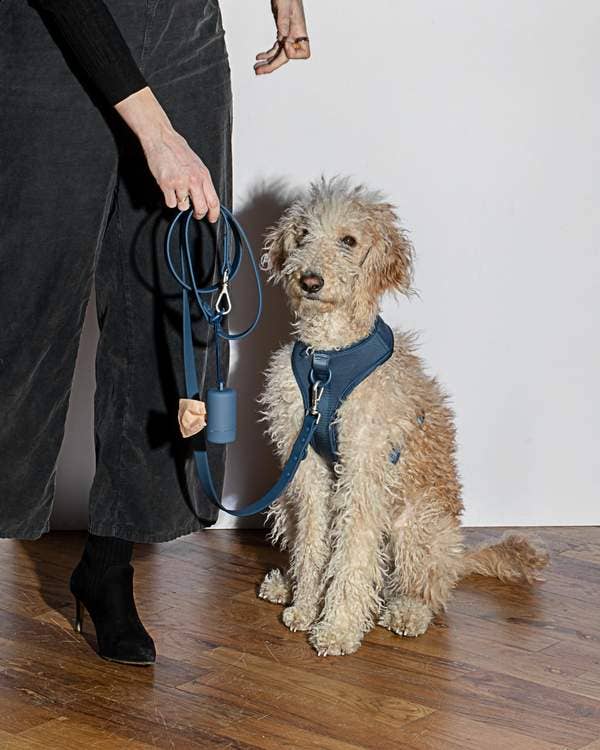 Poop Bag Carrier