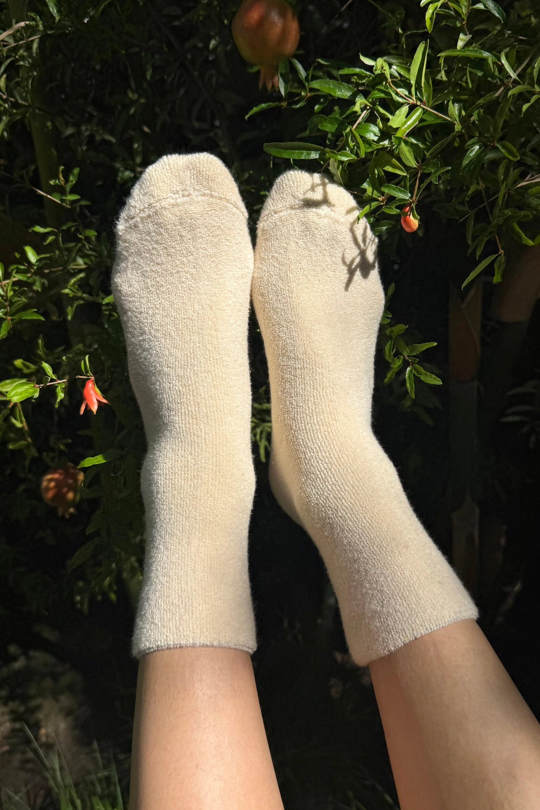 Cloud Socks