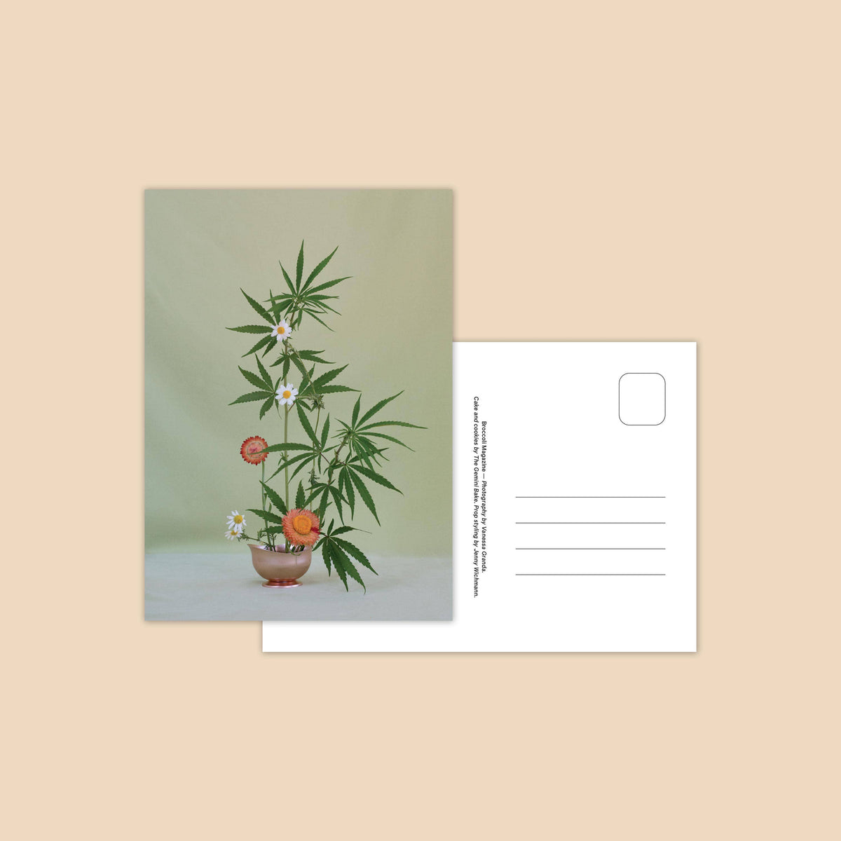 Weed Ikebana Postcard Print Set