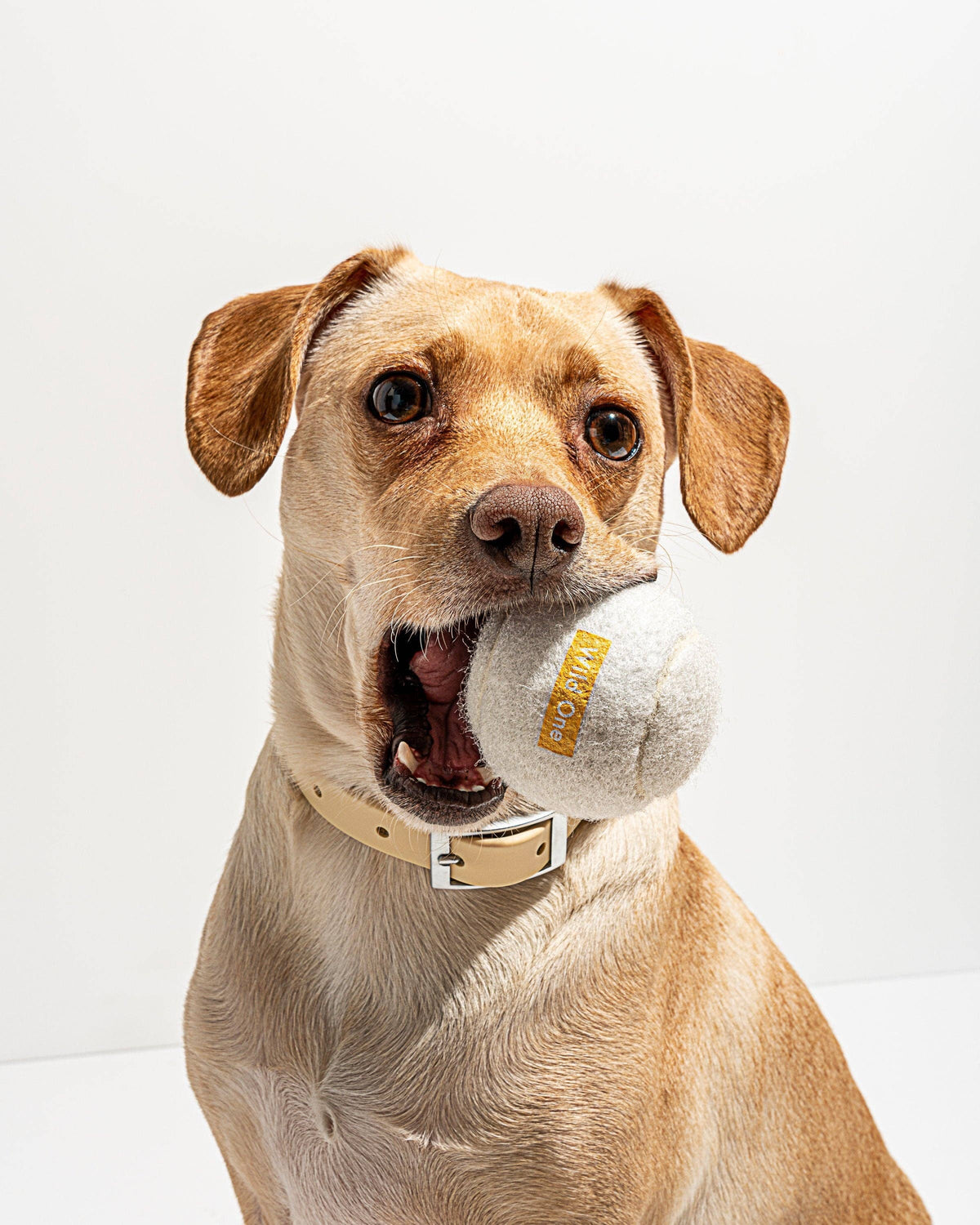 Tennis Balls - A set of 4