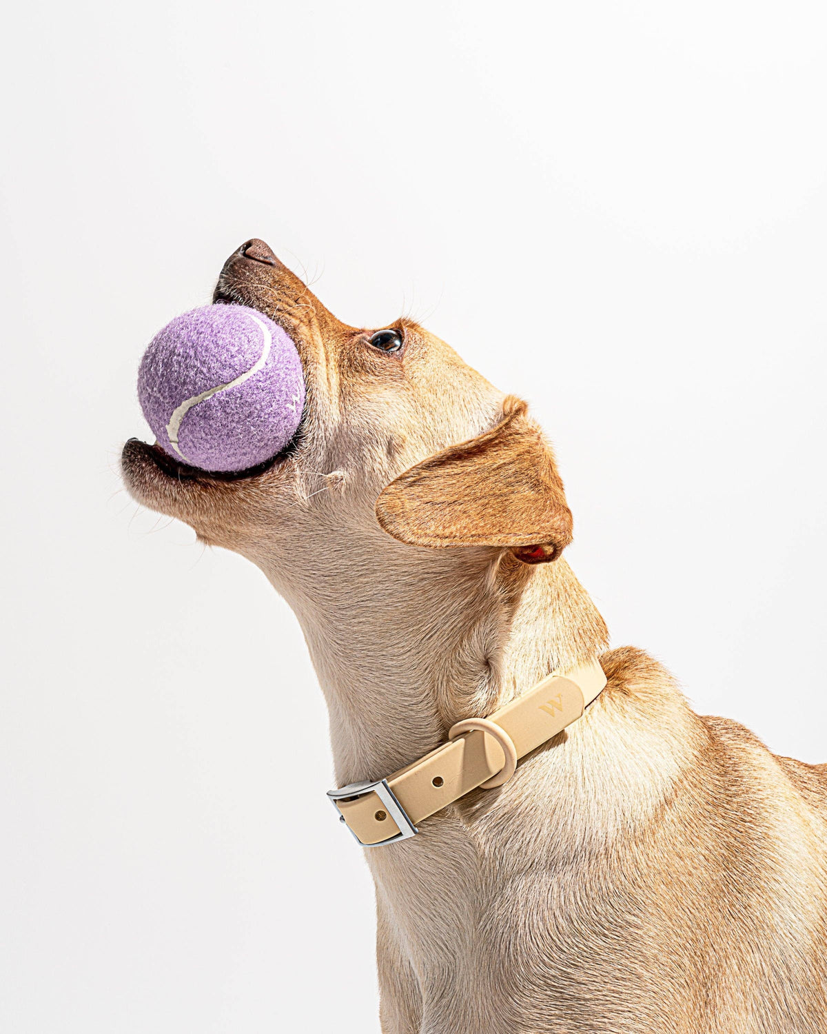 Tennis Balls - A set of 4