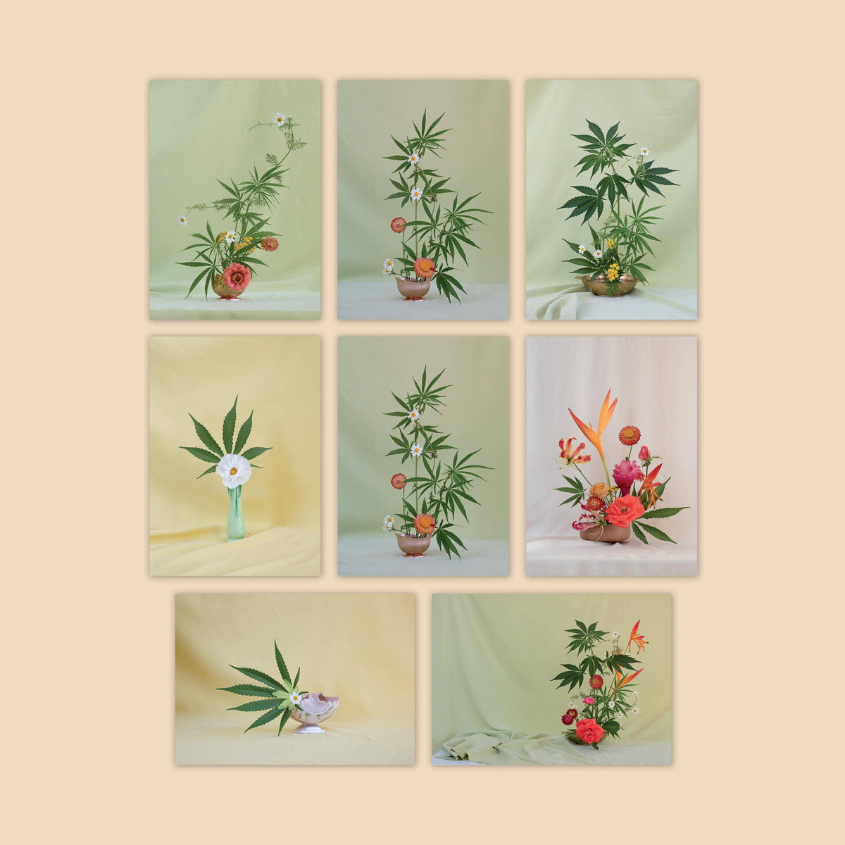 Weed Ikebana Postcard Print Set