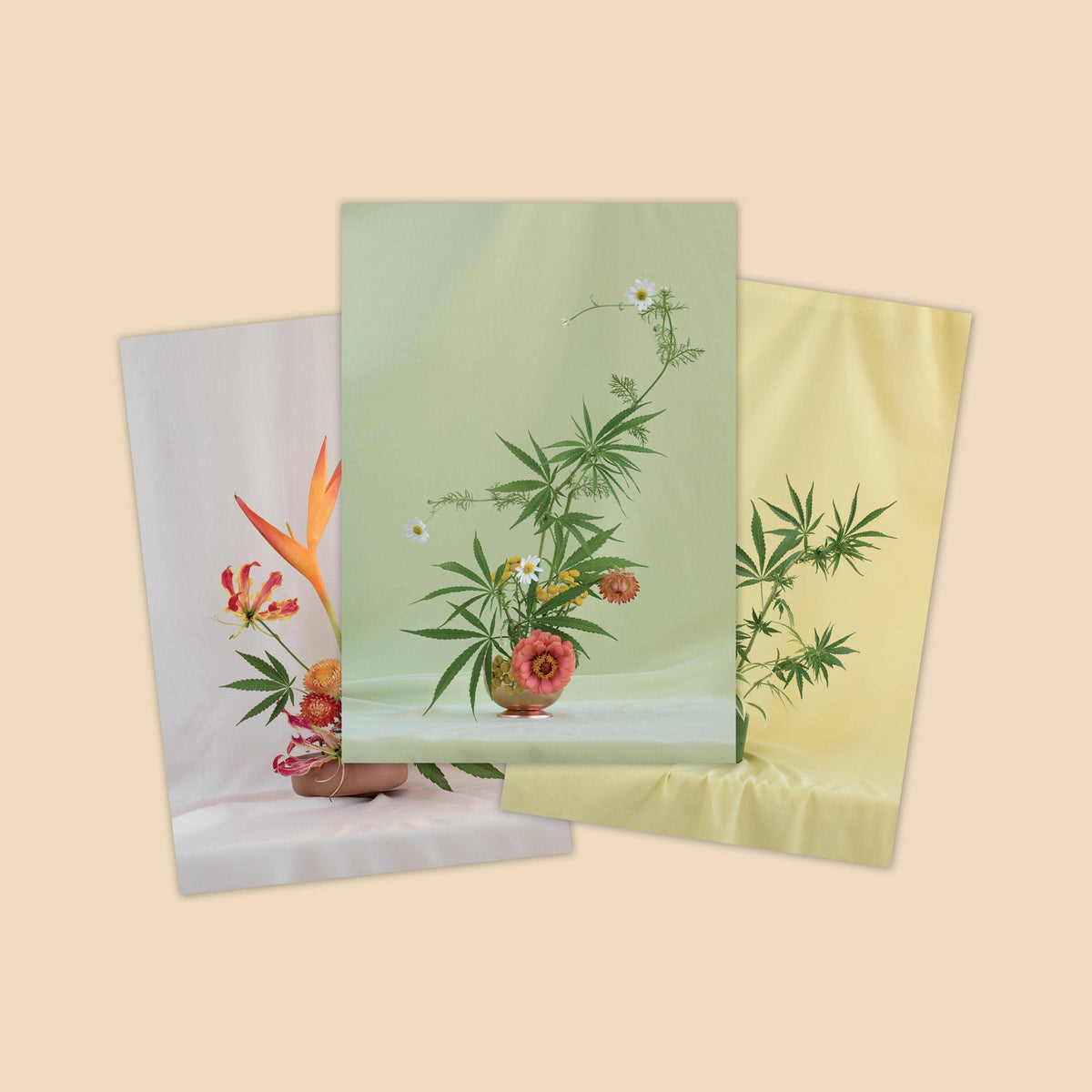 Weed Ikebana Postcard Print Set