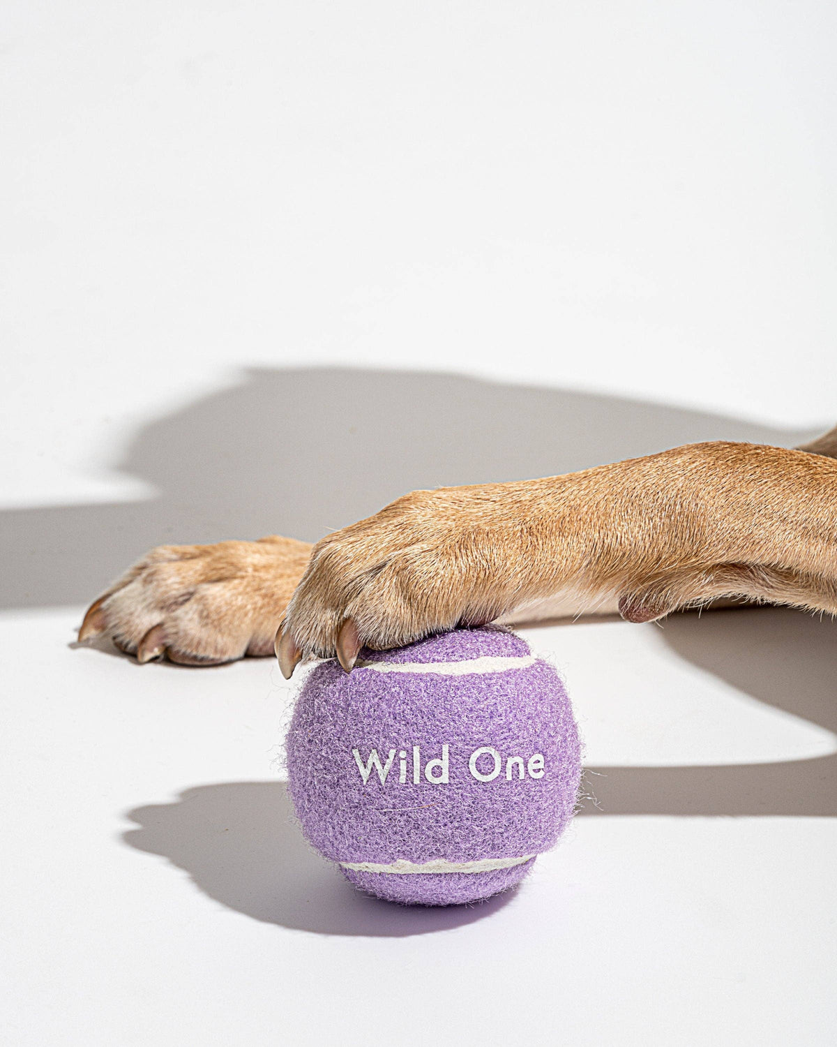 Tennis Balls - A set of 4