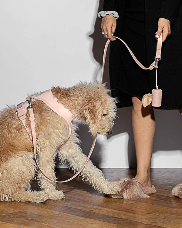 Poop Bag Carrier